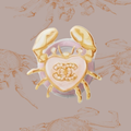 Crab Magsafe Attachment